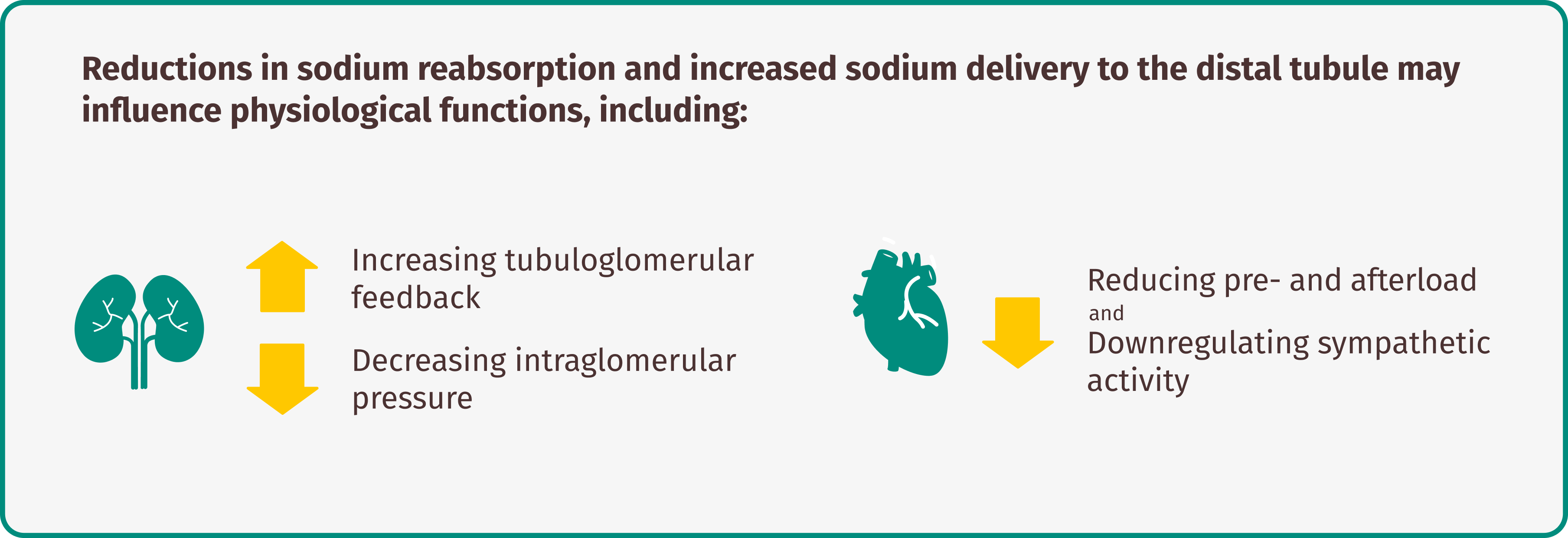 JARDIANCE works by inhibiting]