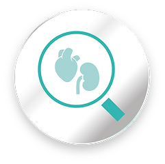 CV & Renal safety2,3