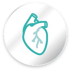 why glyxambi heart image