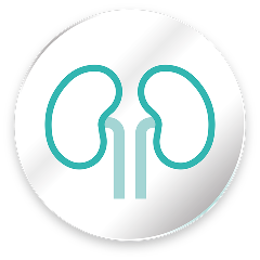 why glyxambi kidney image