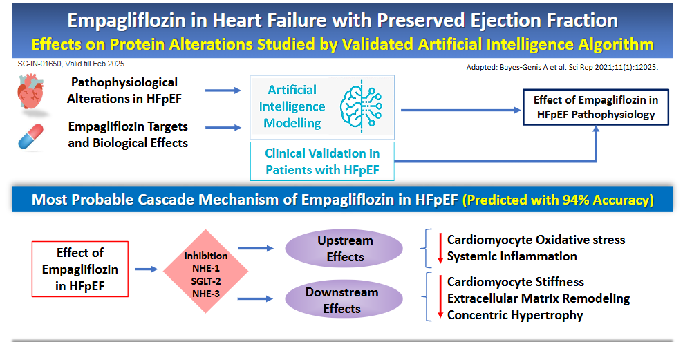 Empagliflozin in Heart Failure with Preserved Ejection Fraction- Effects on Protein Alterations Studied by Validated Artificial Intelligence Algorithm