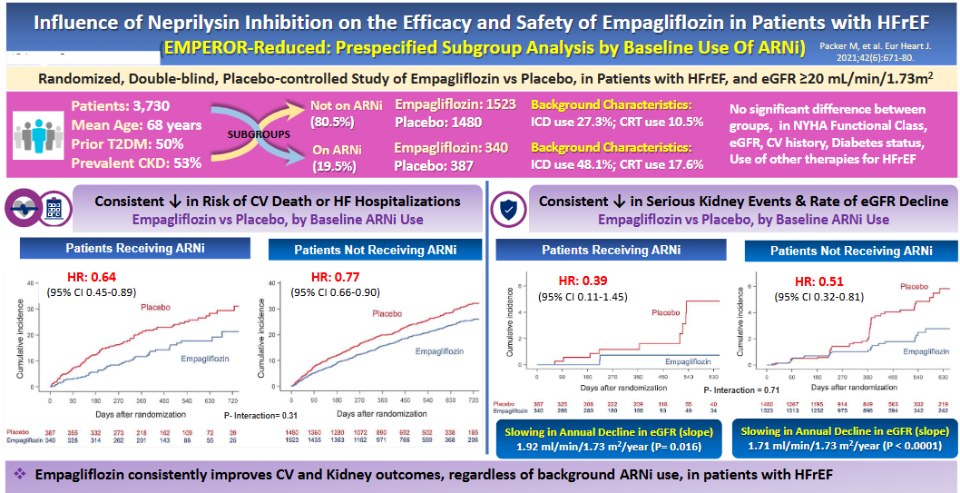 Influence of Neprilysin Inhibition on the Efficacy and Safety of Empagliflozin in Patients with HFrEF: EMPEROR-Reduced Prespecified Subgroup Analysis