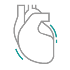 hf-patient-care-jardiance-heart-cv-image