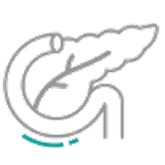 Diabetes guidelines icon