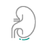 Kidney_icon