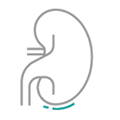 jardiance-t2d-ckd-icon