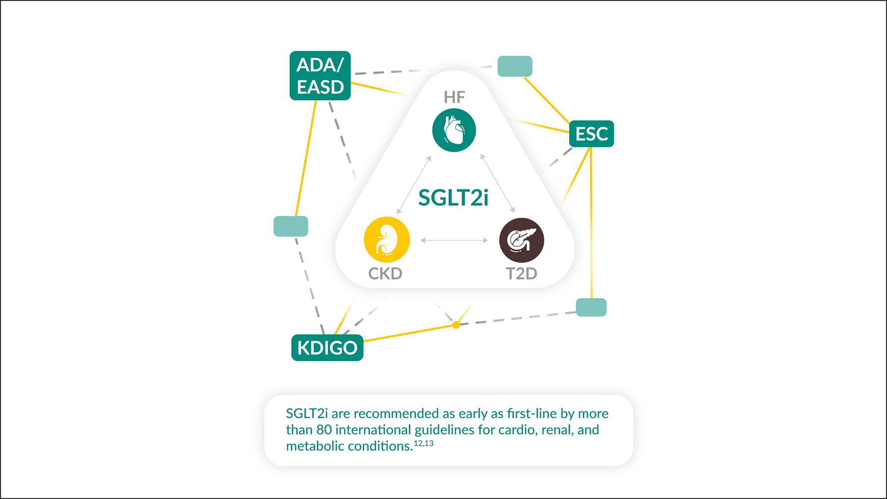 Global guidelines recommend SGLT2i to reduce CV risk for patients with T2D, HF, andor CKD1-10