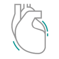 JARDIANCE® is the only SGLT2i proven to reduce the risk of CV death in patients with T2D + eCVD¶2,12